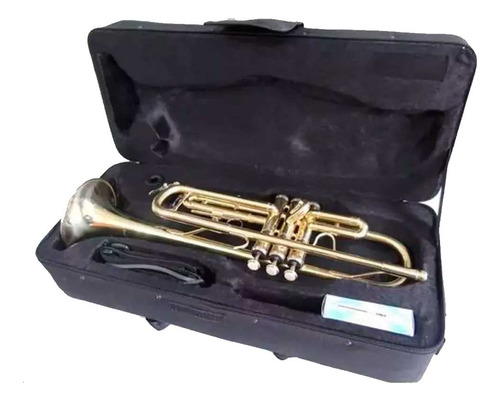 Trompete Dreamer Em Bb Laqueado + Estojo Ft6418l