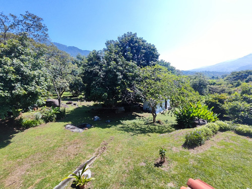 Finca En Barbosa