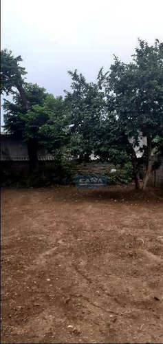 Imagem 17 de 30 de Terreno À Venda Na Vila Carmosina - Te1683
