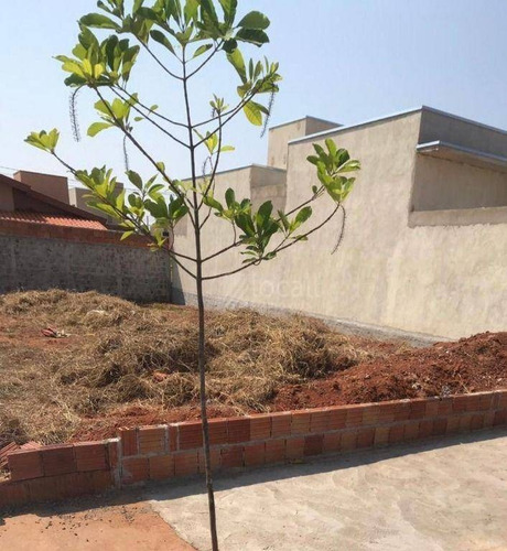 Imagem 1 de 1 de Terreno À Venda, 160 M² Por R$ 85.000 - Mais Parque Mirassol - Mirassol/sp - Te0996