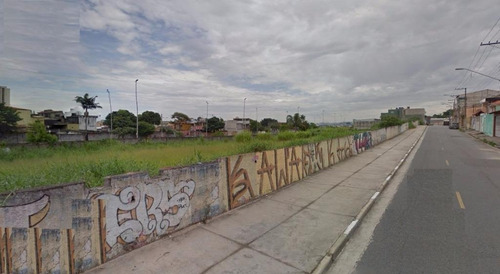 Terreno Residencial À Venda, Vila Curuçá, São Paulo. - Te0161