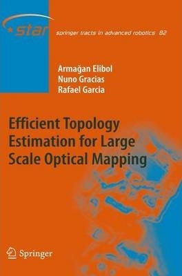 Libro Efficient Topology Estimation For Large Scale Optic...