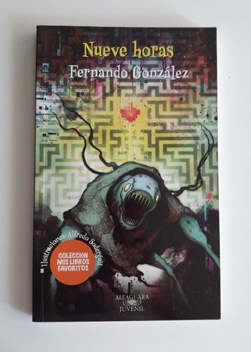  Nueve Horas  Libro  Fernando González  Alfaguara (15 X24cm)