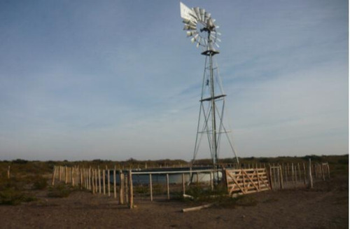 Imagen 9 de 14 de Campo - La Pampa Caleu Caleu