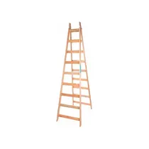 Comprar Escalera Pintor Reforzada 10 Escalones Pintumm