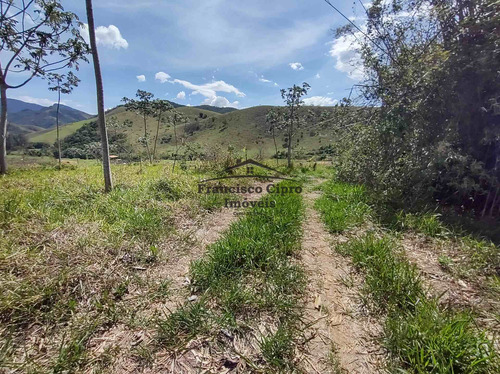 Imagem 4 de 19 de Terreno À Venda No Bairro Pilões - Guaratinguetá/sp - Tr010-1