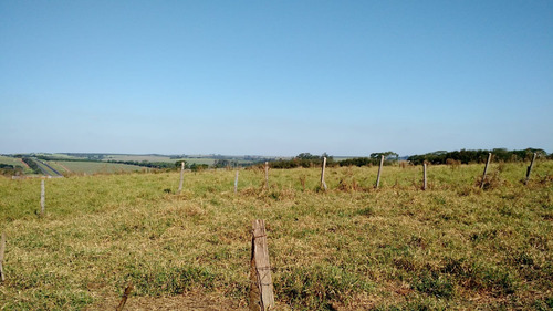 Área De 30.000 M2 Em Região Nobre Na Cidade De Catanduva-sp.