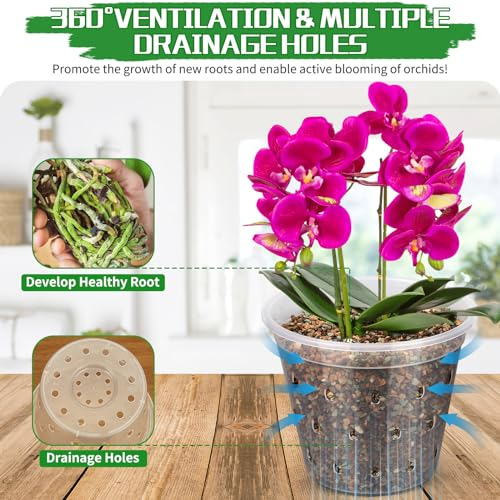 Macetas Transparentes Para Orquídeas Con Agujeros, Juego De