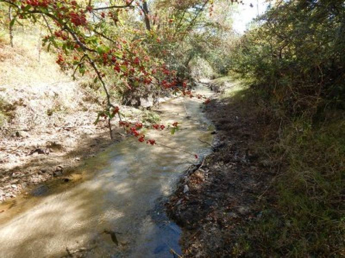 Terrenos O Lotes Venta Nono