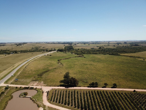 Orden De Ventas!!! Chacra: Zona José Ignacio Oportunidad En Zona Turística- Ref: 2557