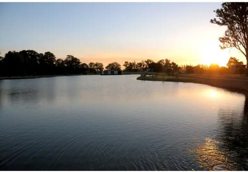 Imagen 6 de 8 de Lote En Venta En La Candida