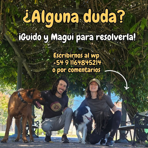 Casita - Guarderia Familiar Canina