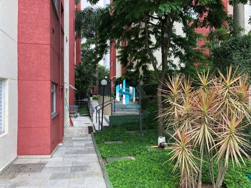 Imagem 17 de 25 de Apartamento A Venda Em Sp Vila Matilde - Ap07631 - 70716384