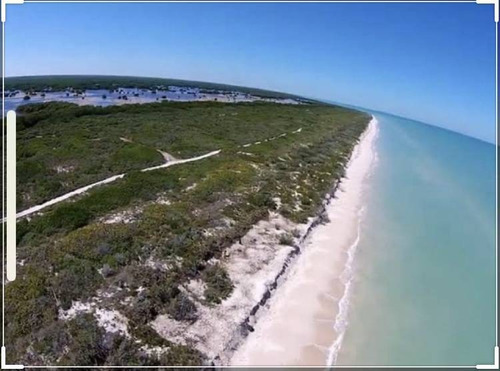 Imagen 26 de 29 de Lotes Plus En Lujoso Complejo Residencial Y Club De Playa Privado En Sisal !!