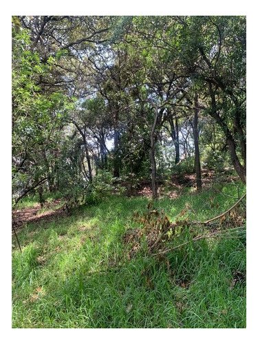 Imagen 6 de 15 de Terreno En Av.desierto De Los Leones