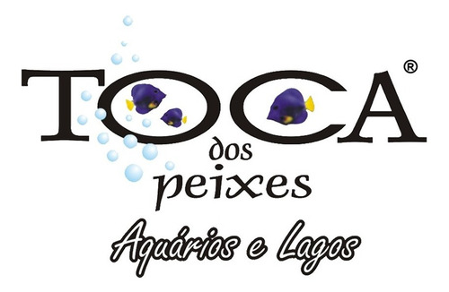 Lâmpada Hopar De Reposição P/ Filtro Uv Tipo Pl 36w 4 Pinos