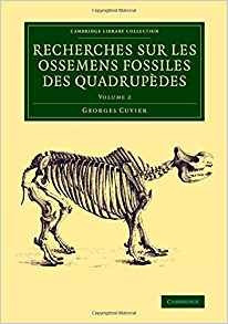Recherches Sur Les Ossemens Fossiles Des Quadrupedes (cambri
