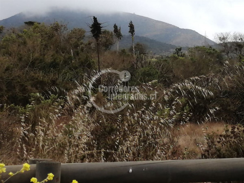Sitio Venta Rocas Del Mar - Los Molles