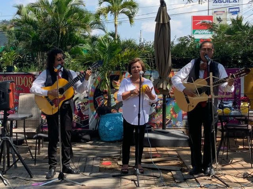 Imagen 1 de 2 de Trío Musical En Guatemala