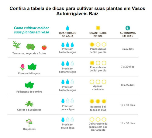 Imagem 4 de 7 de Kit 6 Vaso Raiz N2 Preto 6 Suporte Treliça E Substrato 500gr