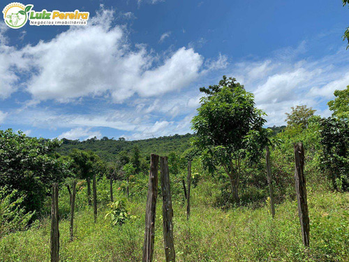 Imagem 8 de 8 de Fazenda À Venda Em Dois Irmãos Do Buriti - Ms - 375 Hectares - 2132