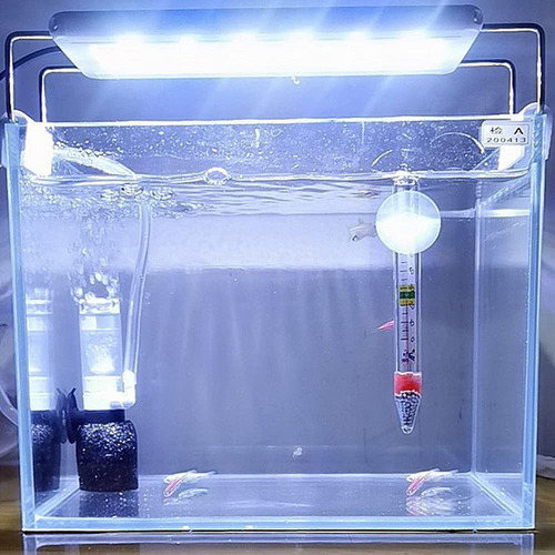Filtro De Tanque Pequeño Para Acuarios Y Estanques