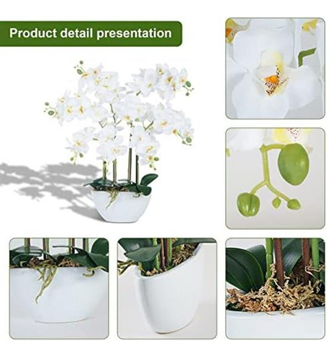 Ziwon Flores Y Plantas Artificiales De Orquídeas En Maceta D