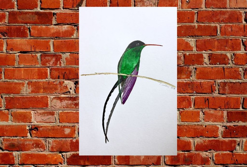 Vinilo Decorativo 50x75cm Pajaro Colibri Ave Natura M8