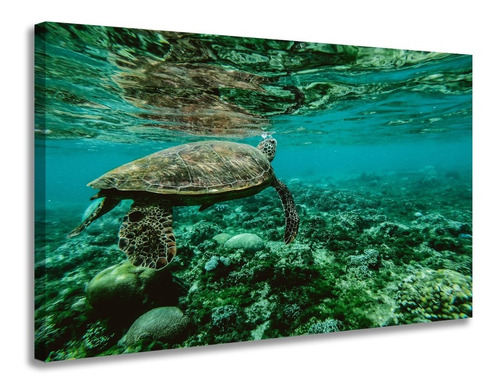 Quadro Decorativo Fundo Mar Tartaruga Sala Modelo Mob169 Cor imagem Cor da armação Borda Infinita