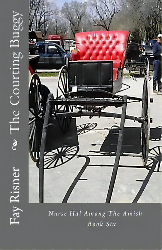 The Courting Buggy: Nurse Hal Among The Amish, De Risner, Fay. Editorial Createspace, Tapa Blanda En Inglés