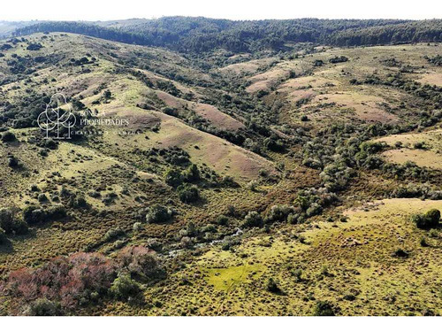 Campo De 140 Hectáreas Garzón