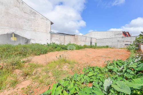 Imagem 9 de 16 de Terreno - Residencial - 930453