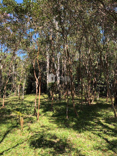 Imagem 10 de 23 de Área, São Lourenço, São Lourenço Da Serra - R$ 980 Mil, Cod: 4246 - V4246