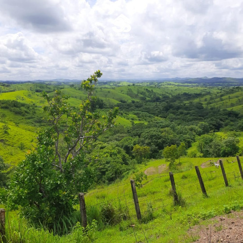 Finca En Venta - Guárico - Granja De Porcina