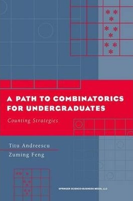 Libro A Path To Combinatorics For Undergraduates : Counti...