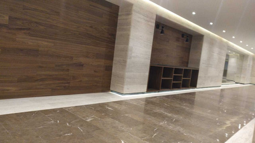 Imagen 2 de 11 de Departamento En Renta En Polanco Juan Racine Bajo De Precio