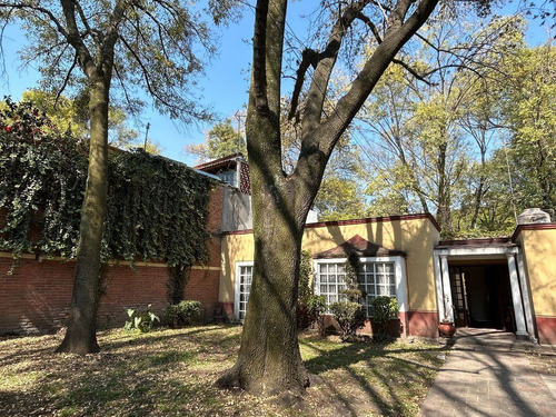 Imagen 3 de 15 de Del Carmen, Casa A Precio De Terreno En El Corazón De Coyoac