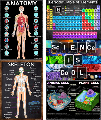 Posters De Ciencia - Tabla Periodica, Celulas, Anatomia, Esq