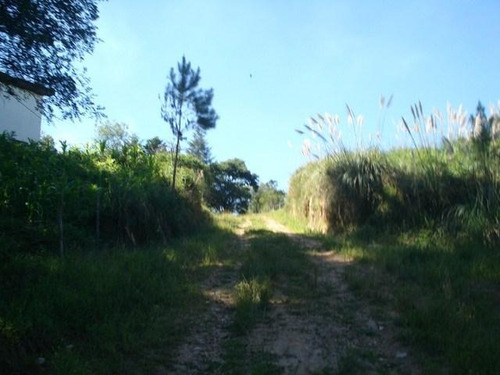 Chácara Todos À Venda, Campina De Quitandinha, Quitandinha - Ch0005. - Ch0006