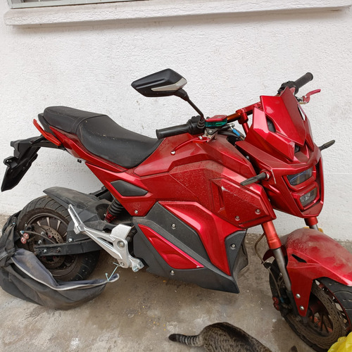 Scooter Zp Champion