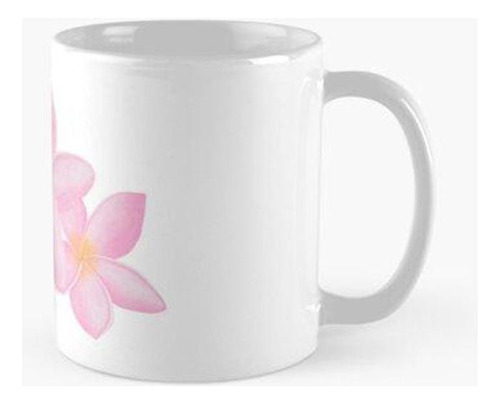 Taza Flores Cayo Hueso Calidad Premium