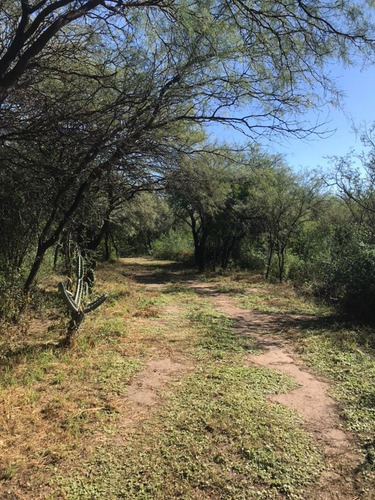 Excelentes Lotes De 1 Ha Y 1 1/2ha Escriturados En Las Tapias, Traslasierra,cordoba