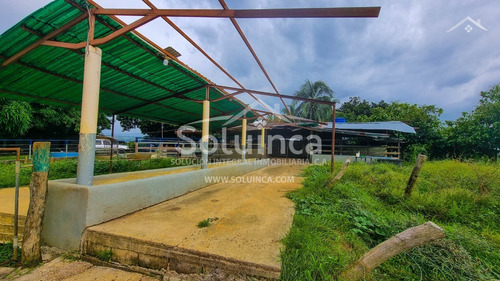 Imagen 4 de 27 de Amplia Finca, Colinas De San Benito - El Vigía