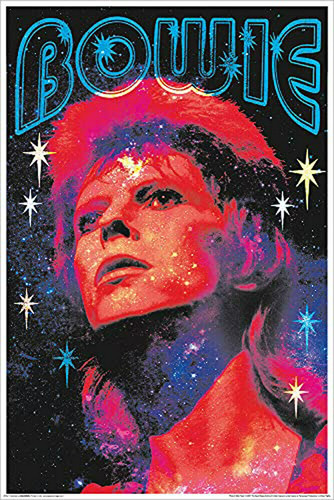 Póster No Fluorescente David Bowie 24  X 36 