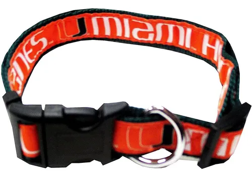 Miami hurricanes dog collar 2025
