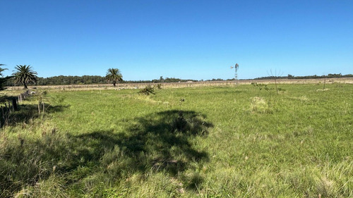 Lote De 72.5x82.5 En Veronica, Punta Indio