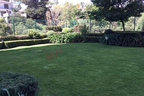 Imagen 1 de 15 de Renta De Departamento En Bosque De Lomas Verdes
