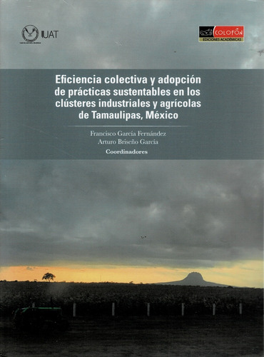 Eficiencia Colectiva Y Adopcion De Prácticas Sustentables E