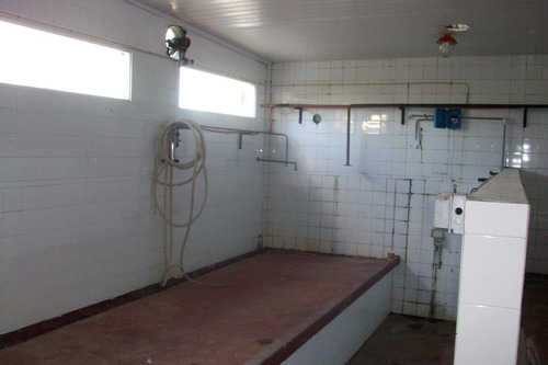 Imagen 25 de 30 de Campo En Venta En Arditti | Ruta 11-km.57 (110 Has)