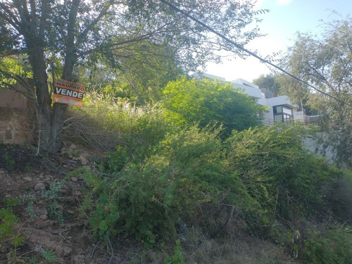 Imagen 7 de 10 de Lote Vista Al Lago - Se Financia El 50% Sin Interés